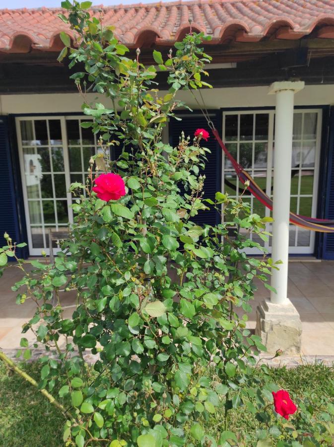 Fazenda Do Marante Hostel Tomar Luaran gambar